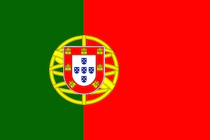 Remote Portuguese interpreting service